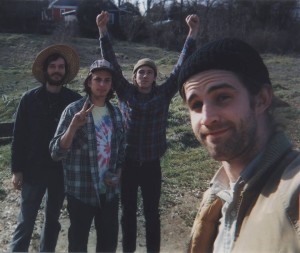 Pinecones from Arrowhawk Records